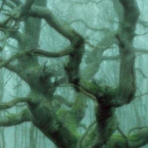 Meet your Posher, Eva